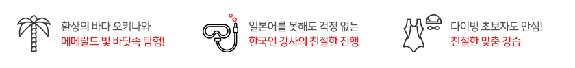 환상의 바다 오키나와 에메랄드 빛 바닷속 탐험, 일본어를 못해도 걱정없는 한국인 강사의 친절한 진행, 다이빙 초보자도 안심, 친철한 맞춤 강습