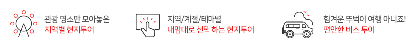 관광 명소만 모아놓은 지역별 현지 투어, 지역/계절/테마별 내맘대로 선택하는 현지 투어, 힘겨운 뚜벅이 여행 아니죠! 편안한 버스 투어